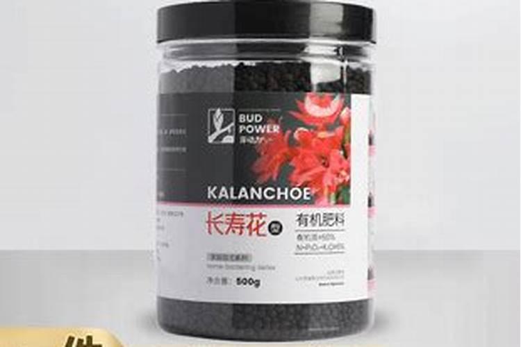 长寿花繁殖方法和时间(长寿花扦插生根最快方法)