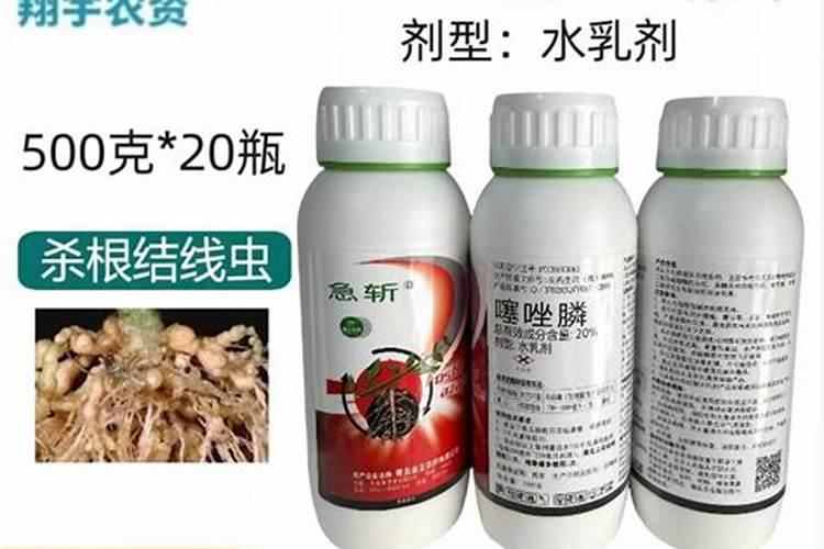 红薯如何种植才能获得高产？