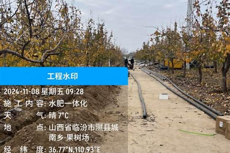 柑橘专用肥料颗粒全年都可以用吗？