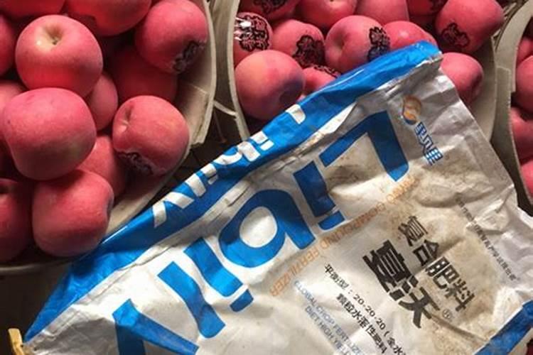 自制水溶叶面肥:清水30斤需用多少红糖和发酵粉