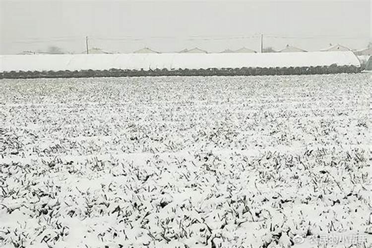 种小麦上肥料只用磷肥和钾肥可以吗？