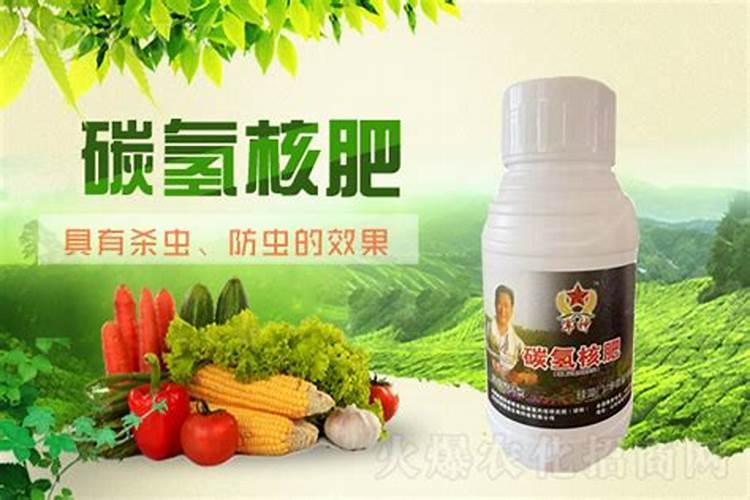 君子兰施什么肥才能让叶子靓丽花朵鲜艳？