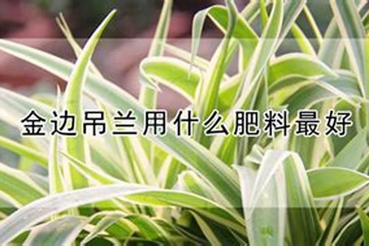 钾肥有哪些种类 钾肥的功效和使用方法