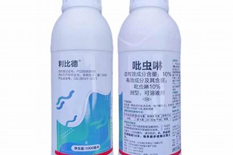 小青瓜什么时候种植技术