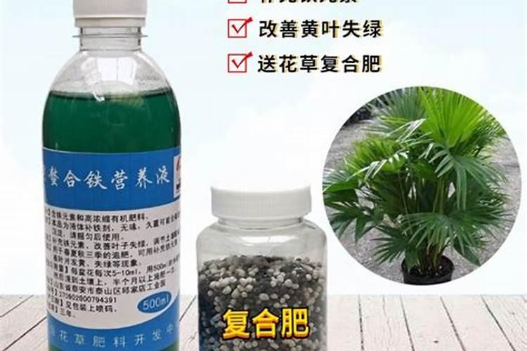 钾肥的正确使用时间