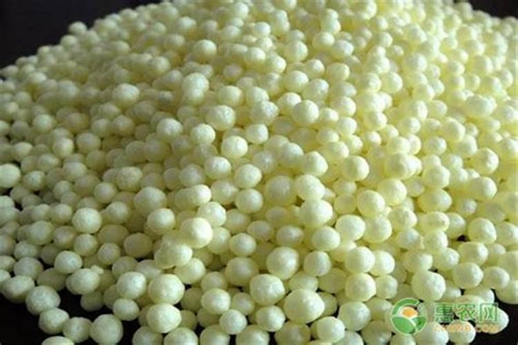 罗汉果怎么泡水注意事项有哪些 如何使用罗汉果泡水