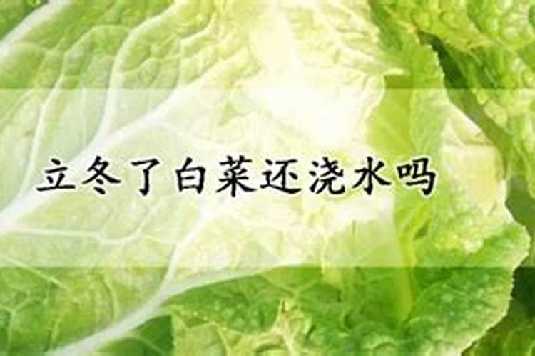 大白菜生长期短,如何进行高温干旱水肥管理？
