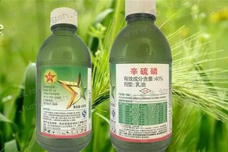 酿酒葡萄到底怎样用新帝密码微生物肥料效果好啊？