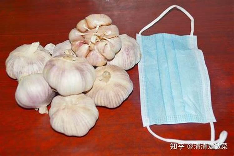 大蒜种植如何过冬