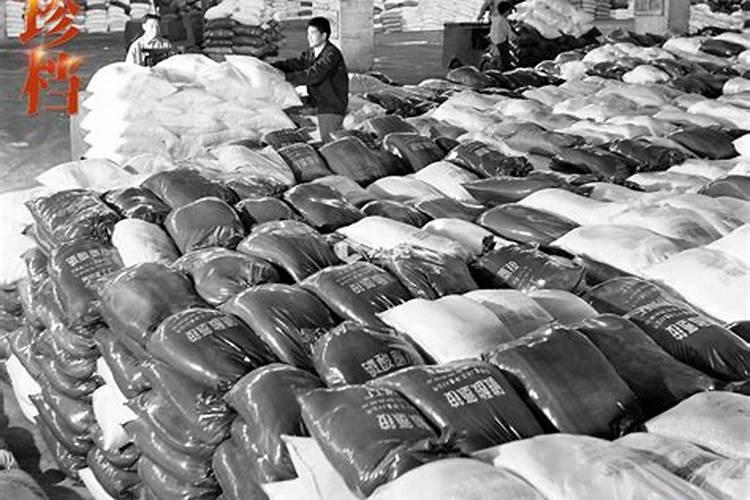 益阳哪里有湘妃竹斑竹