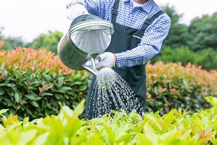 水产养殖的钙镁钾比例 作用是什么