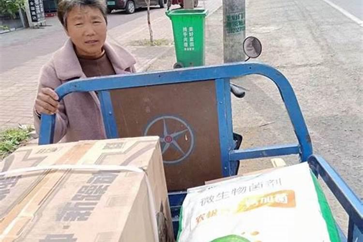 蔬菜主要向人们提供什么营养