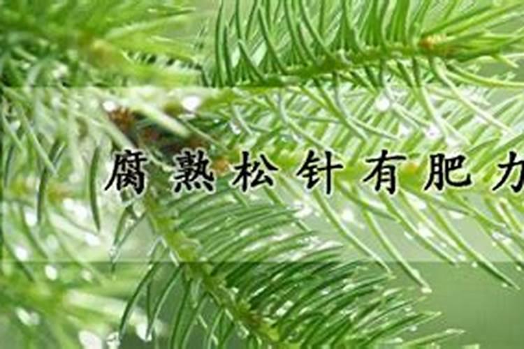 家中适合养杜鹃花么？如果适合,该怎么养？？？