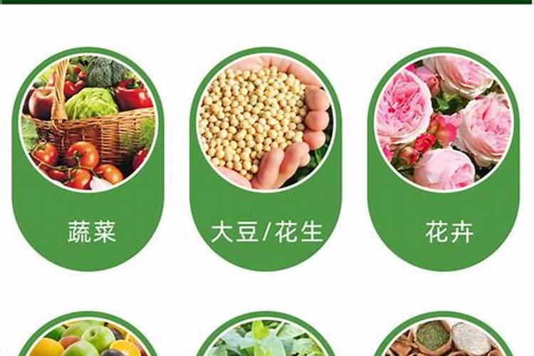 铁树叶子有黄斑怎么处理