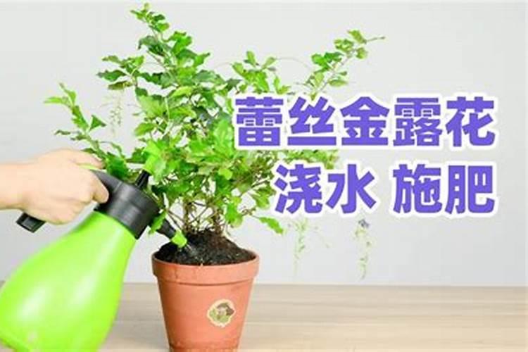 湖南常德甘露寺蔬菜批发市场在哪湖南常德甘露寺蔬菜批发市场简介百度...