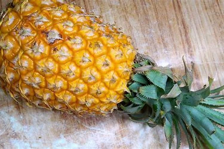菠萝蜜种植后用什么肥料