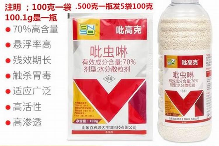 绿萝喜欢什么肥料 绿萝施什么肥料长得好