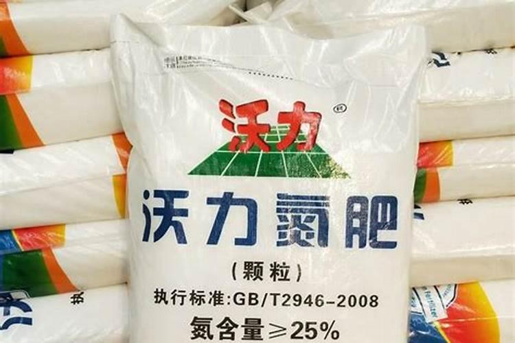 兰花喜欢什么肥料 如何给兰花施肥