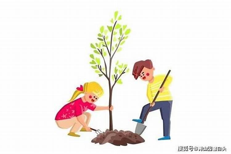 二月种什么菜最合适