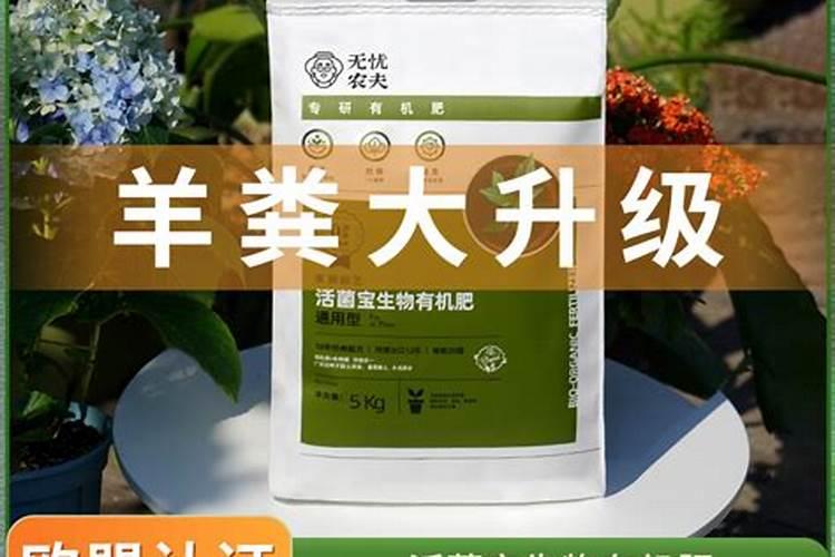 莱籽饼和豆饼哪个给盆栽花施肥好