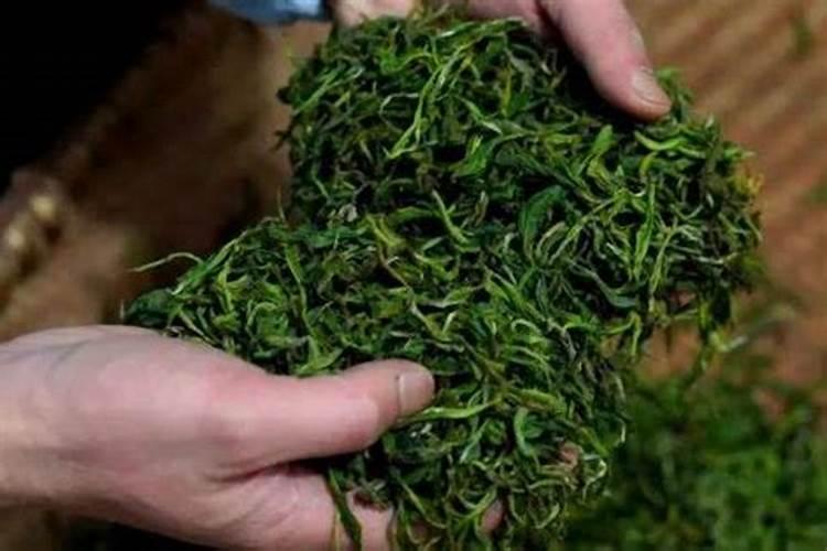 高氮肥料有哪些