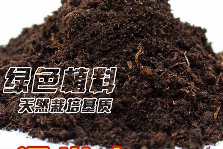 拉面放碱能代替蓬灰吗