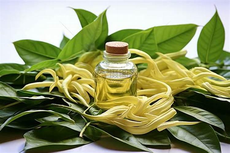 哈密瓜授粉后第几天可以喷叶面肥