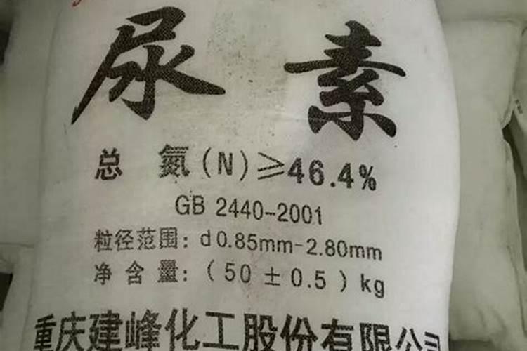 化肥上市公司龙头股有哪些