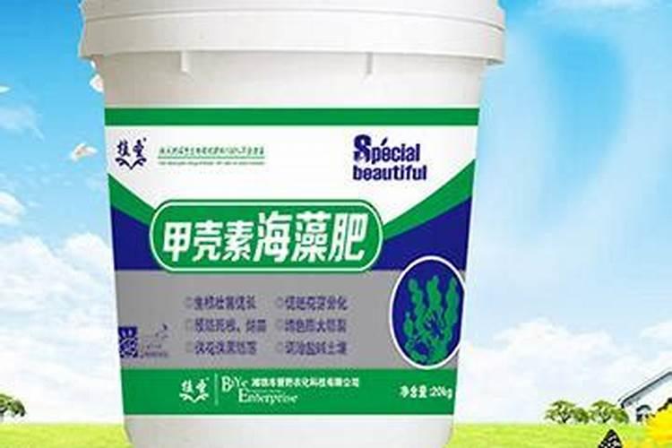 发财树绿萝稀稀拉拉？肯定是你没做到这一点!