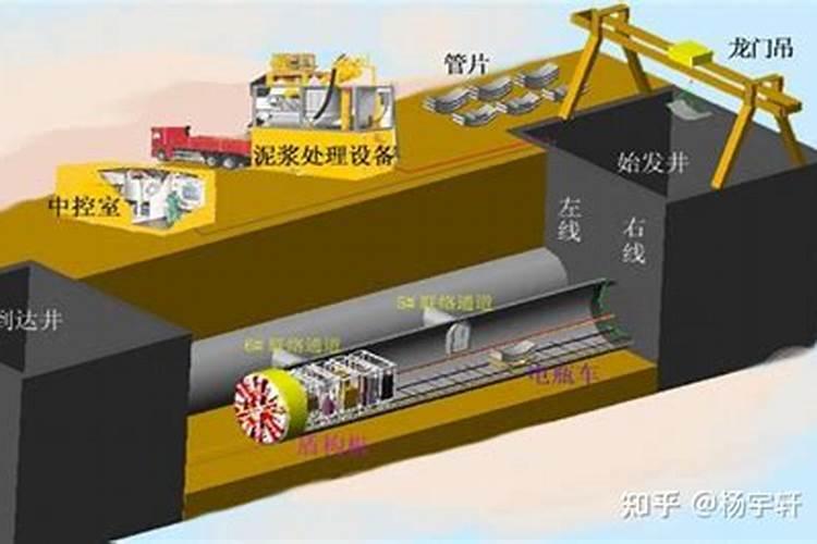 今年三月份种的桔子树要施肥吗？