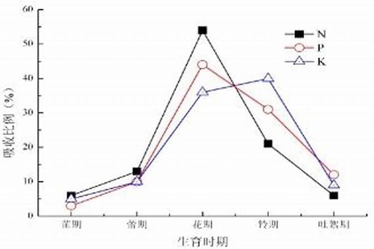 苦瓜施什么肥才挂果多 可以使用氮肥吗
