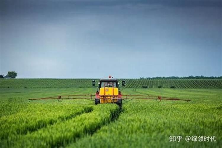 尿素怎么施肥效果好