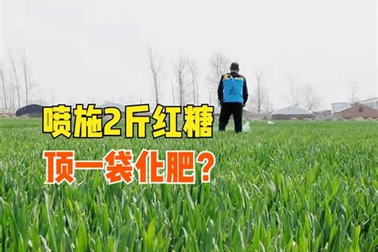 农用红糖使用方法