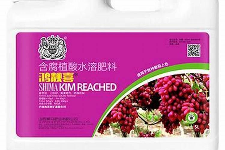 尿素和氮肥,哪个给果树施肥的效果好？为什么？