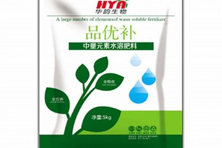 桔子树开花如何去保花保果