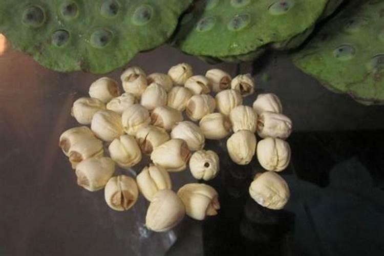 水溶肥到底怎么施用