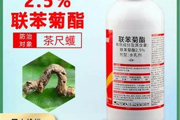 大棚冬枣枣花蕾发黄什么病
