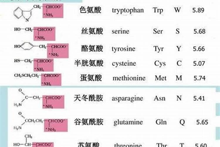姬小菊徒长不开花是怎么回事
