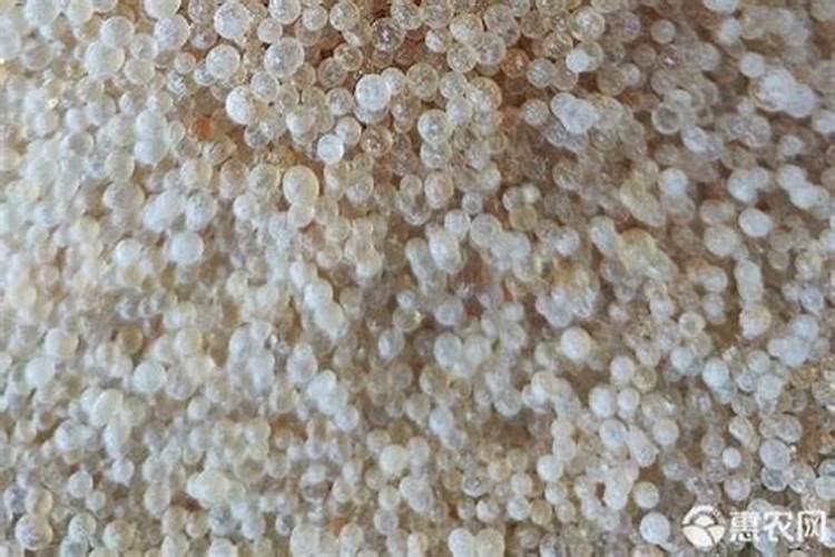 向土壤使入有机氮肥或化学氮肥后不应浇水过多它的原因是什么百度知 ...
