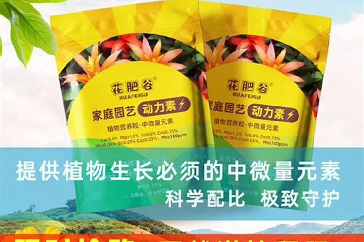如何使文玩核桃的果实长的更大