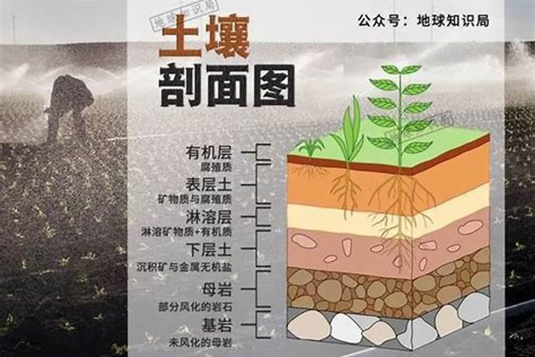 钾肥一亩地上多少