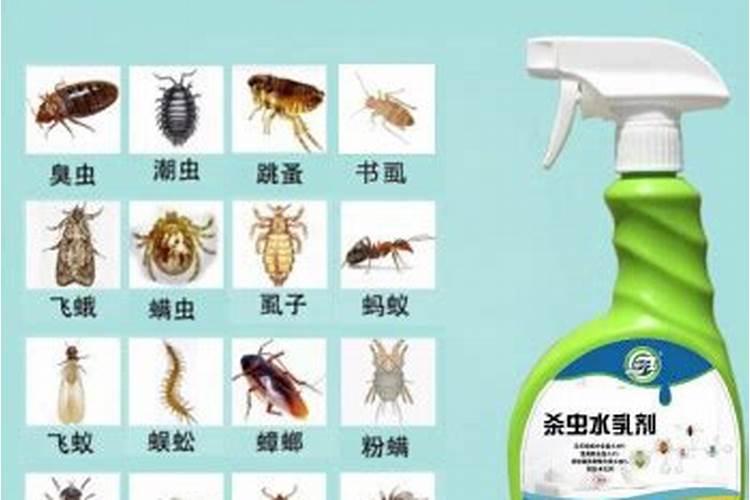 多肉催芽素哪个牌子好一点