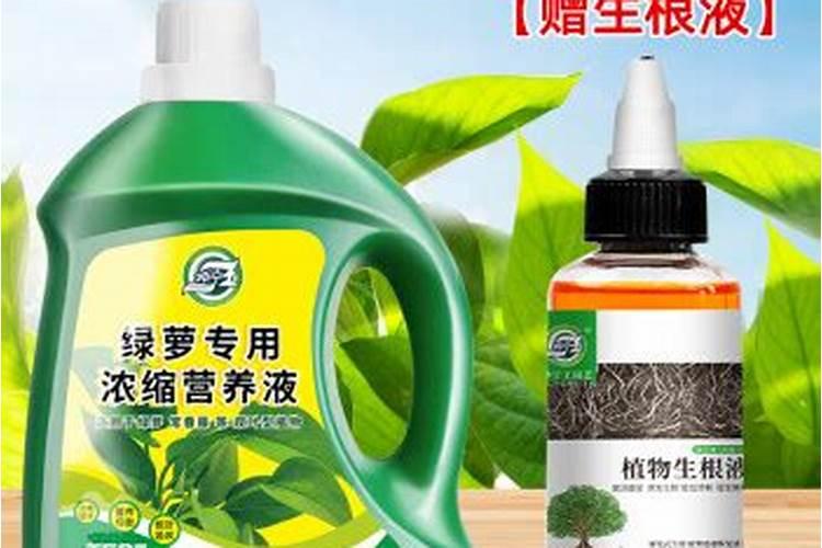 无土栽培蔬菜营养液那个牌子好