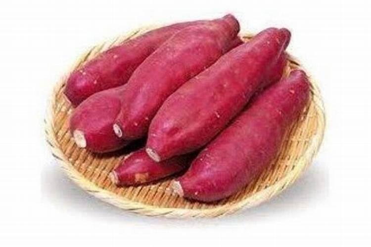 水培红薯如何施肥