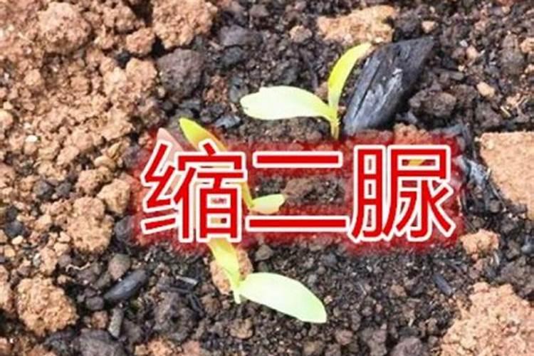复合肥含缩二脲是什么意思
