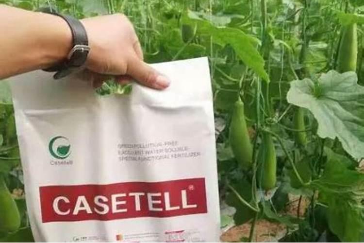 种植菠菜怎么施肥,该施什么肥料