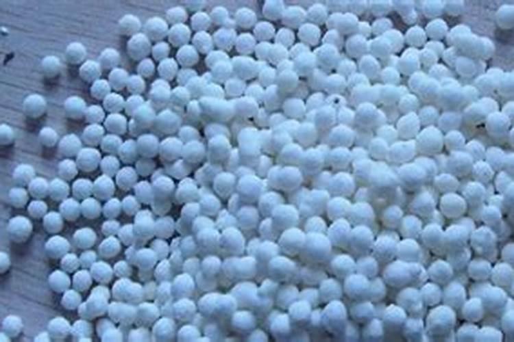 果树用水溶肥好还是复合肥好