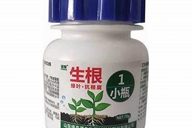 氨基酸肥和腐殖酸肥,哪种生根肥料效果好？