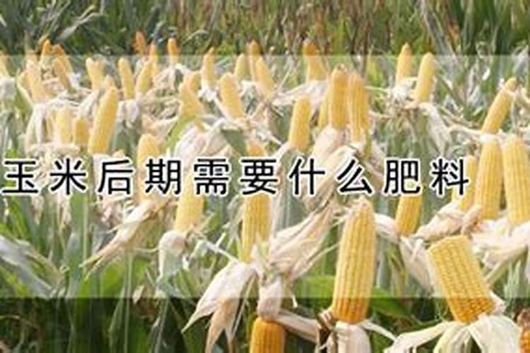 葡萄用什么肥料最好