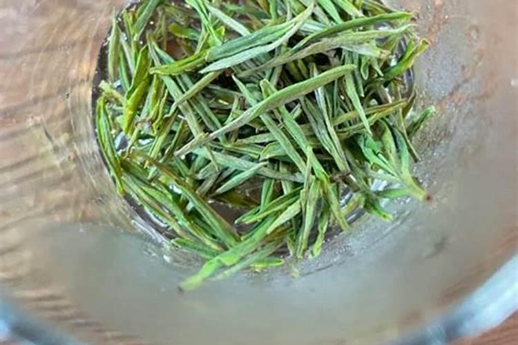 月季花修根能马上施肥浇水吗